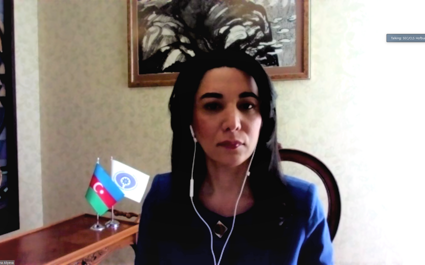 Ombudsman ATƏT-in Təhlükəsizlik üzrə Əməkdaşlıq Forumunda çıxış edib