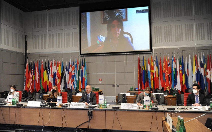 Azərbaycan Ombudsmanı ATƏT-in tədbirində Ermənistan nümayəndəsinin iddialarına tutarlı cavab verib