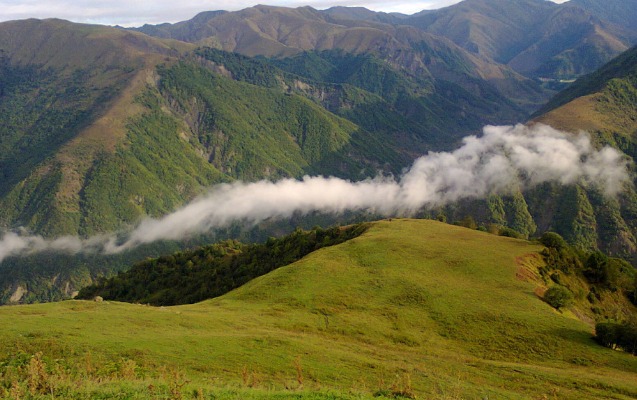Qoruğun mühafizə rejimini pozanlar cəzalandırıldı