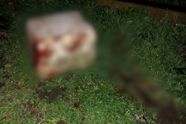 Bakıda ahıl kişinin başına daşla vuraraq pulunu ələ keçirən şəxs TUTULDU - FOTO/VİDEO