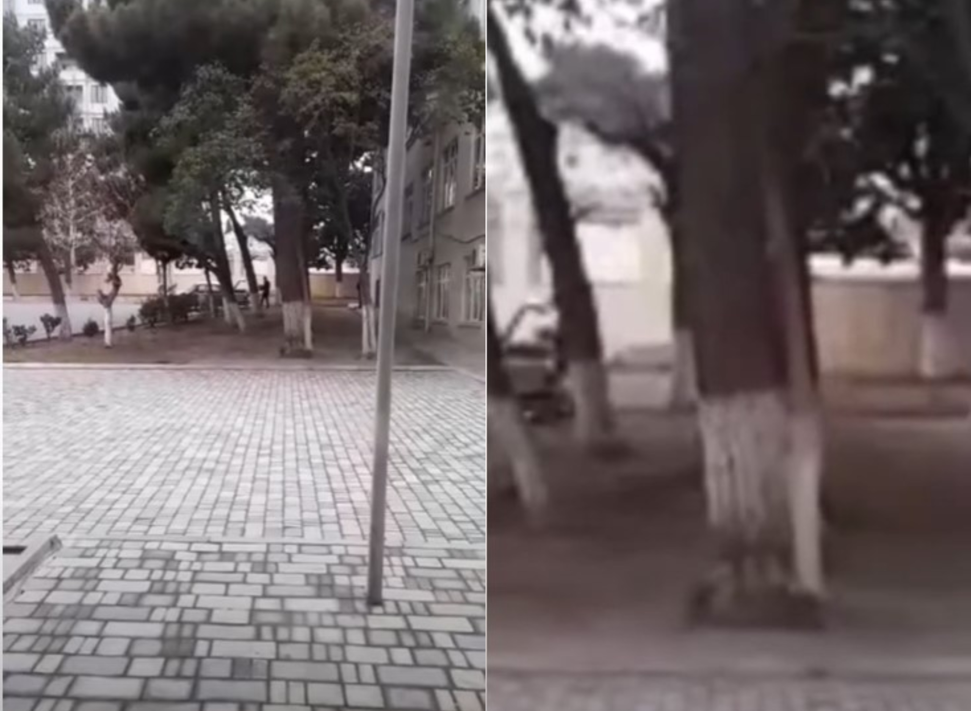 İnternat məktəbinin direktoru ərzaqları şəxsi maşınına yüklətdirir? - RƏSMİ AÇIQLAMA