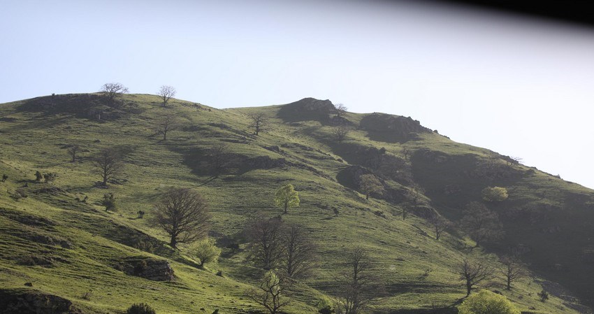 Azad edilmiş ərazilərdə dövlət qurumlarının yaradılması ilə bağlı təkliflər hazırlanacaq