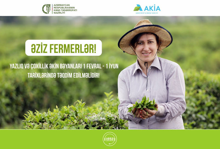 Yazlıq və çoxillik əkin bəyanlarının qəbuluna start verilib