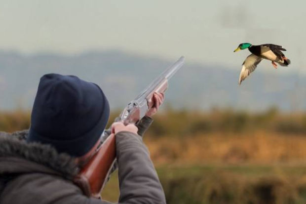 В Азербайджане усиливается общественный контроль за охотой