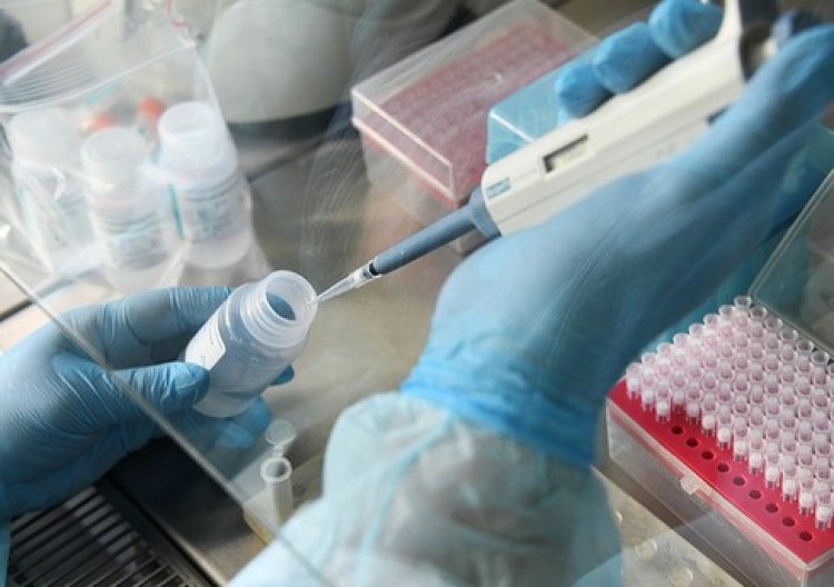 Qonşu ölkədə “omikron”un daha yoluxucu növü tapıldı