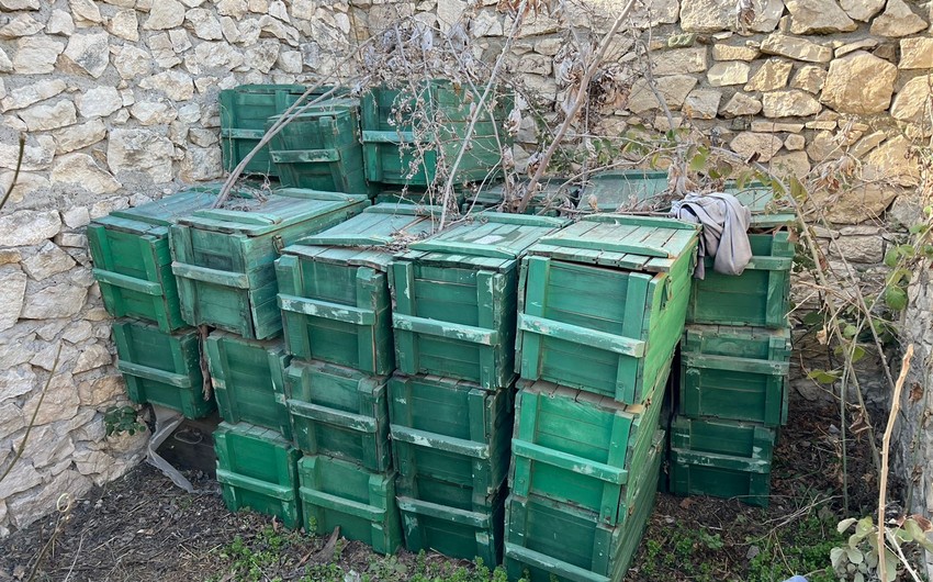 Cəbrayılda xeyli sayda mina aşkarlanıb-FOTO