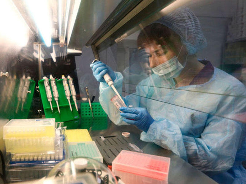 Alimlər koronavirusdan ölüm riskini azaltmağın yolunu tapıblar