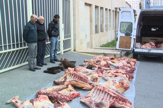 Xaçmazda at əti satan şəxslər həbs edildi - FOTO/VİDEO