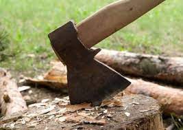 Bakıda ağaclar kəsilib, araşdırmalar aparılır