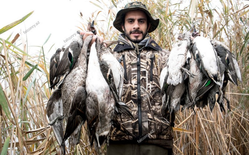 Azərbaycanda qanunsuz ovçuluğu təşviq edən sayt fəaliyyət göstərir