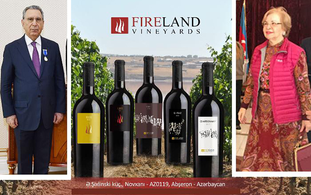 Ramiz Mehdiyevin həyat yoldaşı 3 ayda 326 min borc ödəyib