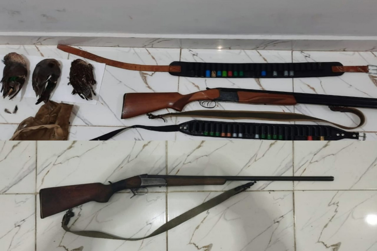 Astarada qanunsuz ov edən şəxs aşkarlanıb, 1 ədəd ov tüfəngi götürülüb