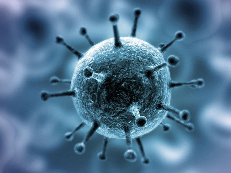 Alimlər koronavirusun növbəti təhlükəli ştamı barədə xəbərdarlıq ediblər