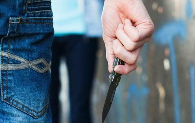 Задержан подозреваемый в убийстве 20-летнего жителя Гейгельского района - ОБНОВЛЕНО