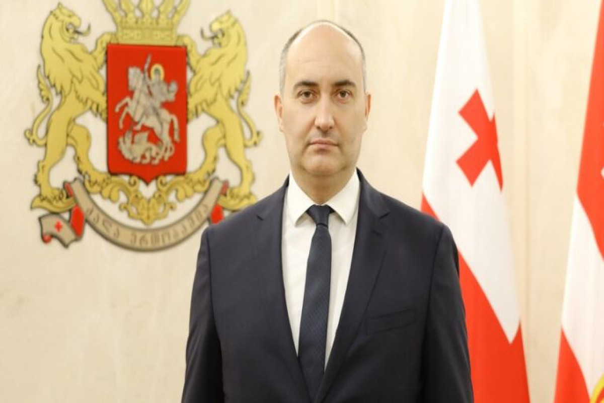 Gürcüstanın müdafiə naziri: “Yeganə yolumuz NATO üzvü olmaqdır”