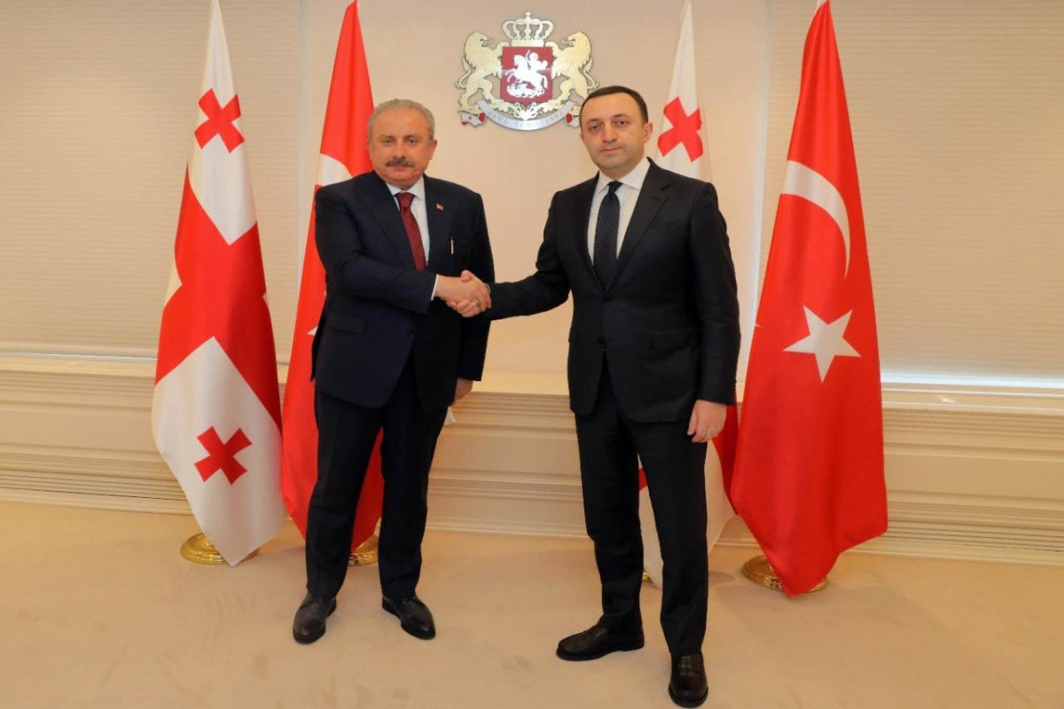 Şentop Qaribaşvili ilə “Dinc Qonşuluq Təşəbbüsü” layihəsini müzakirə edib