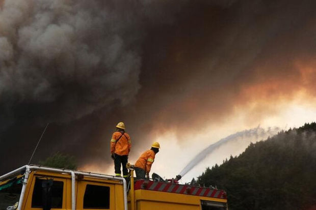 Блогер за сутки собрал почти 1 млн долларов пожертвований