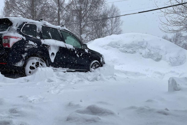 Güclü qar Yaponiyada həyatı iflic edib - FOTO/VİDEO