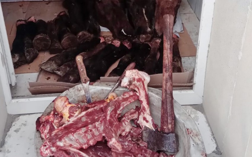 İsmayıllıda qanunsuz heyvan kəsimi və ət satışının qarşısı alınıb