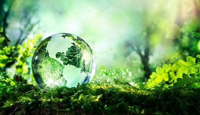 “Ekologiyanı qorumaq kampaniya deyil, vətəndaş məsuliyyəti ilə tənzimlənməlidir” - ARAŞDIRMA