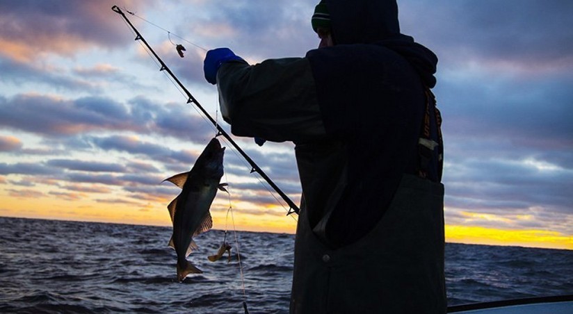 Qanunsuz balıq ovlayan şəxslər saxlanılıb