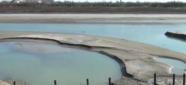 Xəzərin suyu Kürə qarışıb, ekoloji problemlər yaranıb