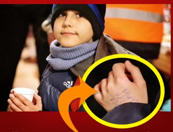 11 yaşlı ukraynalı təkbaşına Slovakiyaya gedib - Əlinə nömrə yazılıb...