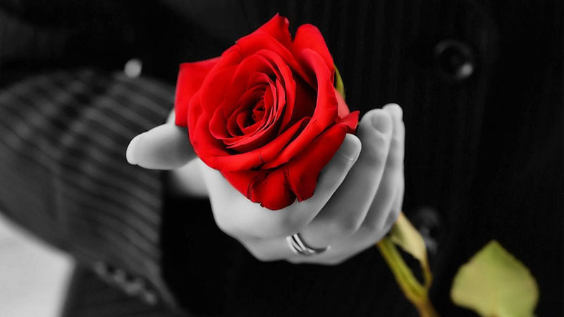 Bu gün 8 Mart - Beynəlxalq Qadınlar Günüdür