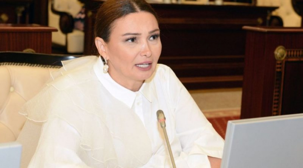 Prezident İlham Əliyevin siyasi islahatlar kursu və qanunverici orqan - DEPUTAT YAZIR