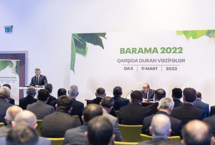 Barama subsidiyası və yaş baramanın fermerlərdən alış qiyməti artırılıb