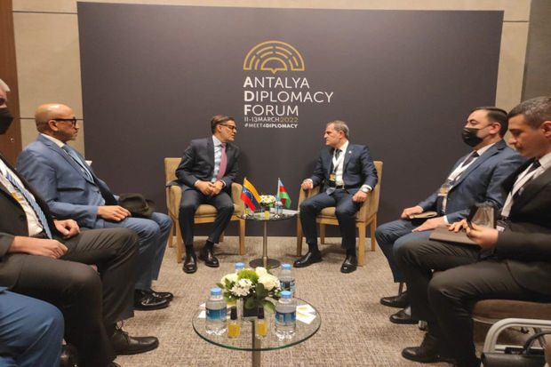 Ceyhun Bayramov Venesuelanın xarici işlər naziri ilə görüşüb