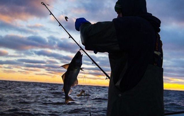 Qanunsuz ov edən daha 3 nəfər cəzalandırıldı