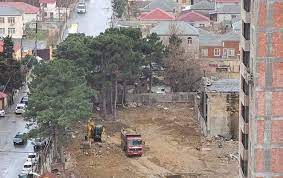 Xırdalanda yolu dağıdan tikinti şirkəti indi də ağacları qanunsuz kəsib - FOTO