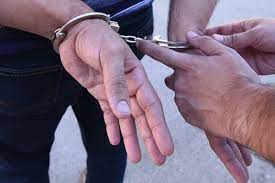 Göyçayda 25 min manatlıq oğurluq edən şəxslər saxlanılıb