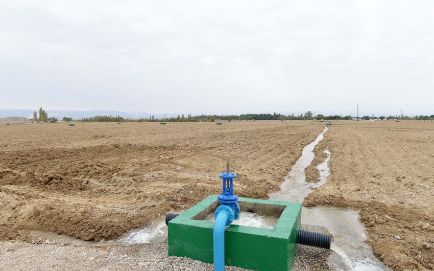Bələdiyyə torpaqlarından sui-istifadə hallarının məhdudlaşdırılması ilə bağlı hökumətə tapşırıqlar verilib