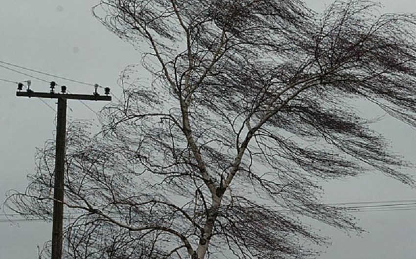 Güclü külək Gəncədə və ətraf rayonlarda fəsadlar yaradıb