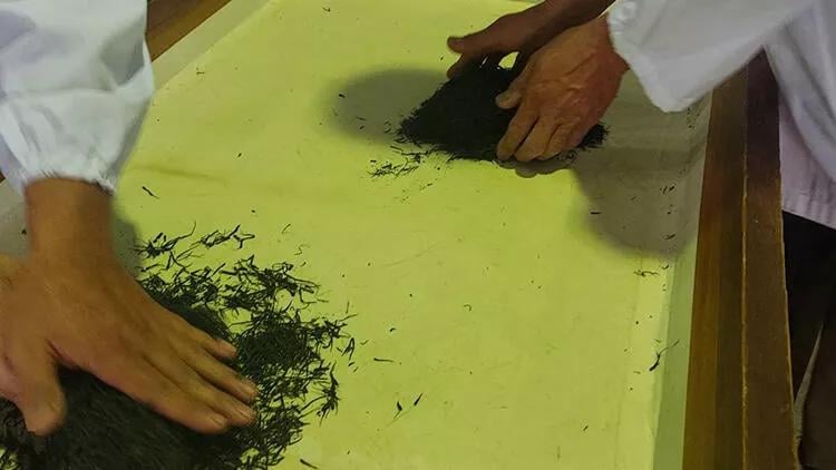 Yaponiyada sürpriz hərrac: 1 kilo çay 26 min manata satıldı