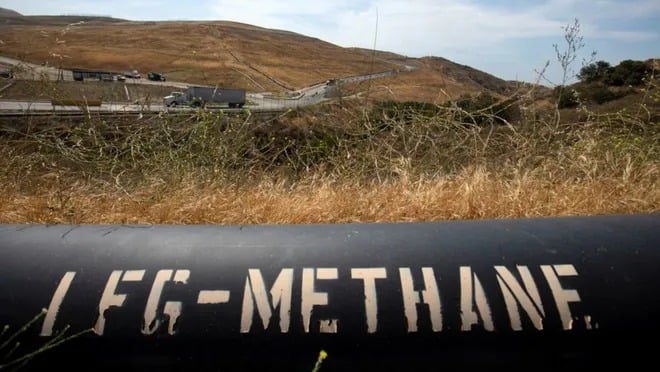 Metanı elektrikə çevirən mikroblar kəşf edildi