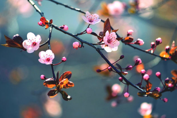 Sabahın hava proqnozu AÇIQLANDI