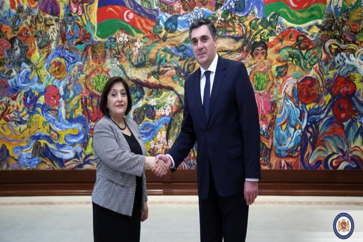 Gürcüstan XİN rəhbəri Sahibə Qafarova ilə görüşüb - FOTO