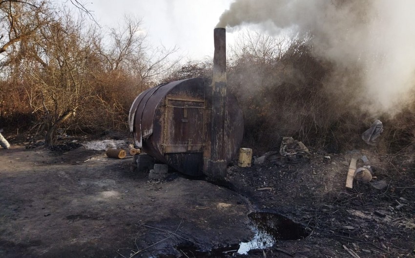 Meşə ərazilərində aşkarlanan qanunsuz ocaqxanaların sayı açıqlanıb