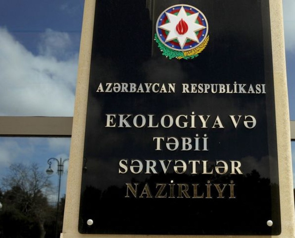 ETSN: Heyvanlara işgəncə ilə bağlı qanunvericilikdə ciddi boşluqlar var