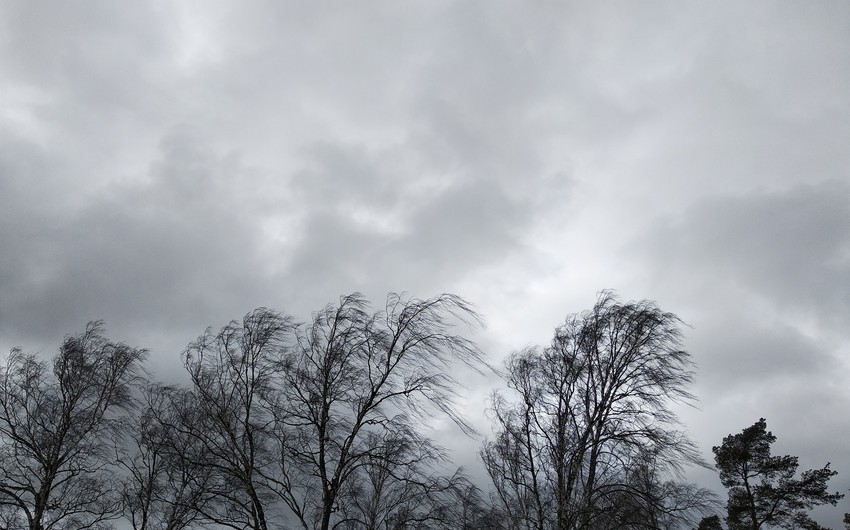 Güclü külək Cəlilabadda fəsadlar törədib, bir sıra kəndlər işıqsız qalıb