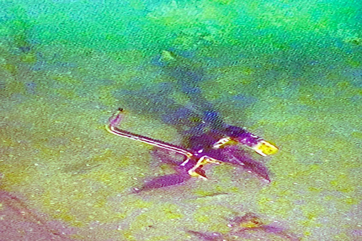 Xəzərin Azərbaycan sektorunda tapılan gəmi minaları zərərsizləşdirilib - FOTO