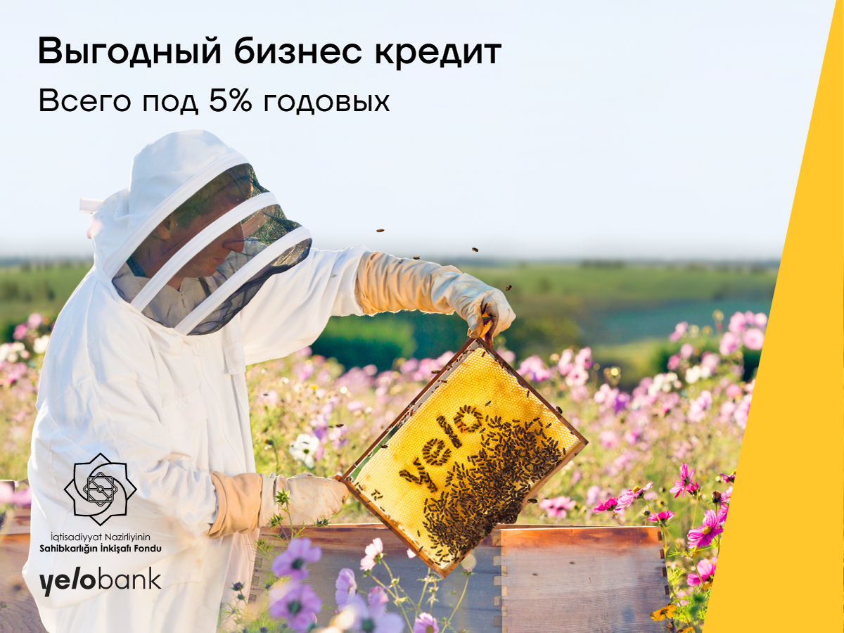 Развивайте свой бизнес с кредитом от Yelo Bank под 5% годовых