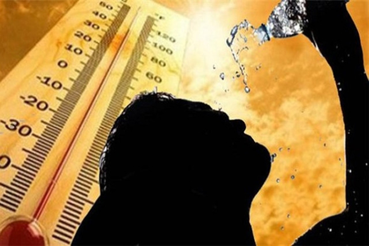 Dünyada qəbul edilən ən isti il açıqlanıb