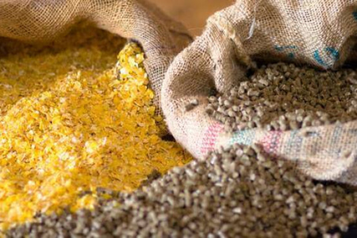 Azərbaycana gətirilən heyvan yemləri gömrük rüsumundan azad olunub