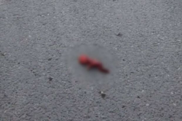 ​Ölmüş dölü bağ evinin həyətinə atan qadın saxlanıldı