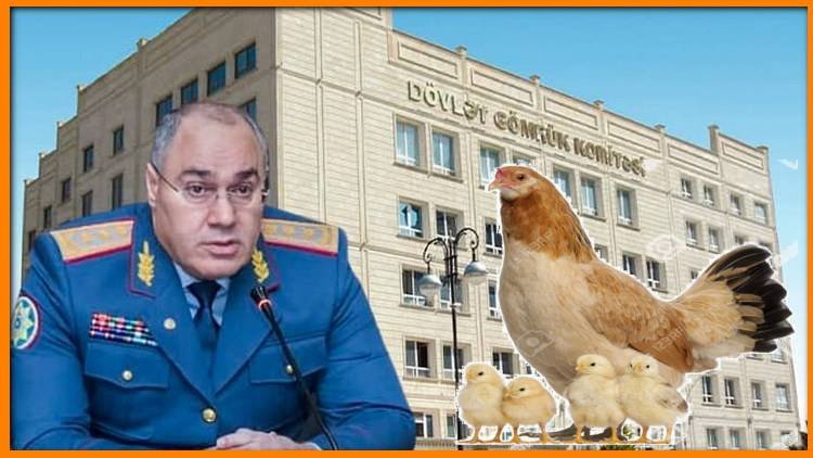 Quş əti və yumurta istehsalçıları Dövlət Gömrük Komitəsilə PROBLEM YAŞAYIRLAR
