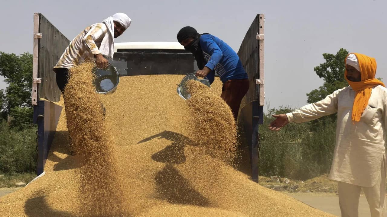 Buğdanın qiyməti rekord həddə çatıb - HİNDİSTANIN QADAĞASINA GÖRƏ